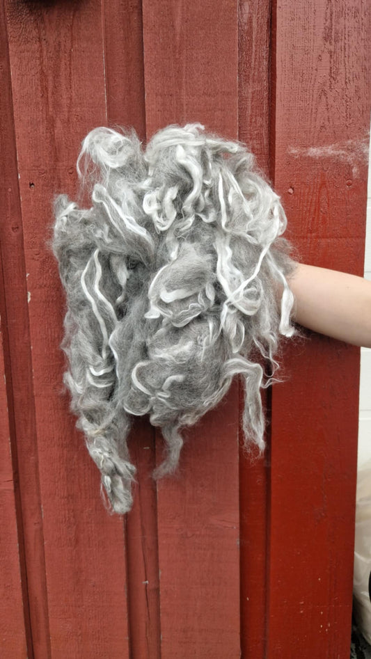 Spinnefiber med pelsull, villsau lammeull og silke