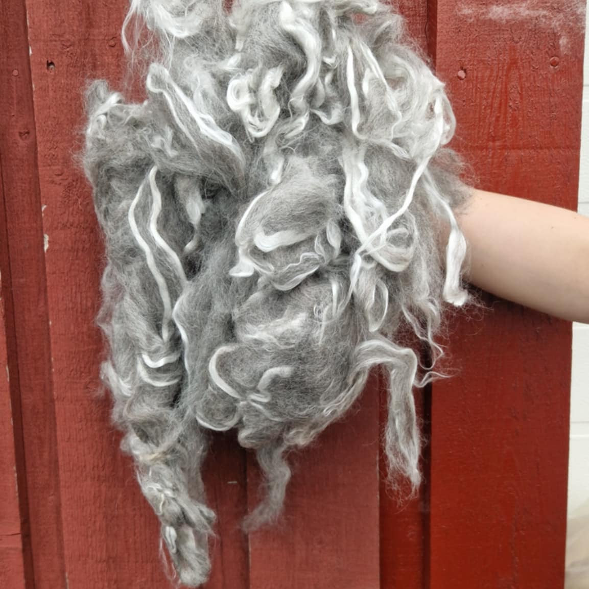 Spinnefiber med pelsull, villsau lammeull og silke