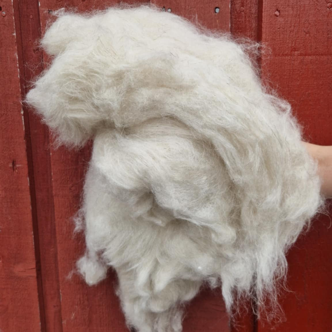 Spinnefiber med lin, silke og ull